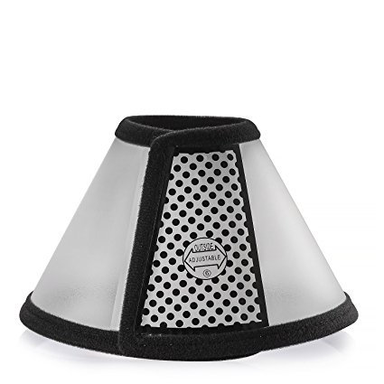 How to get a cone on an aggressive dog clearance