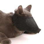 Mesh Cat Muzzle