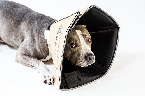 Comfy Cone