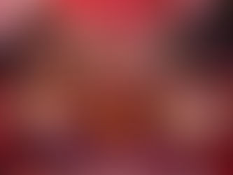 soirée st valentin au domaine de la Clartière. Le Logis de la Clartière à Falleron en Vendée