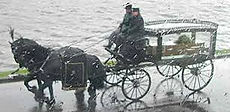 funeral 11.jpg