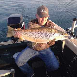 10lb brown