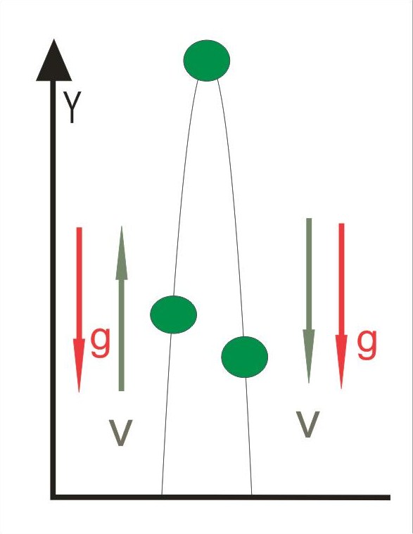 Resultado de imagen para caida libre y tiro vertical dibujos
