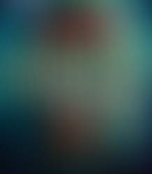 ***** - The Shadow Man