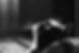 Black kitten. Portrait of cat in backlight. British Shorthair. Dust in air. Black and whit