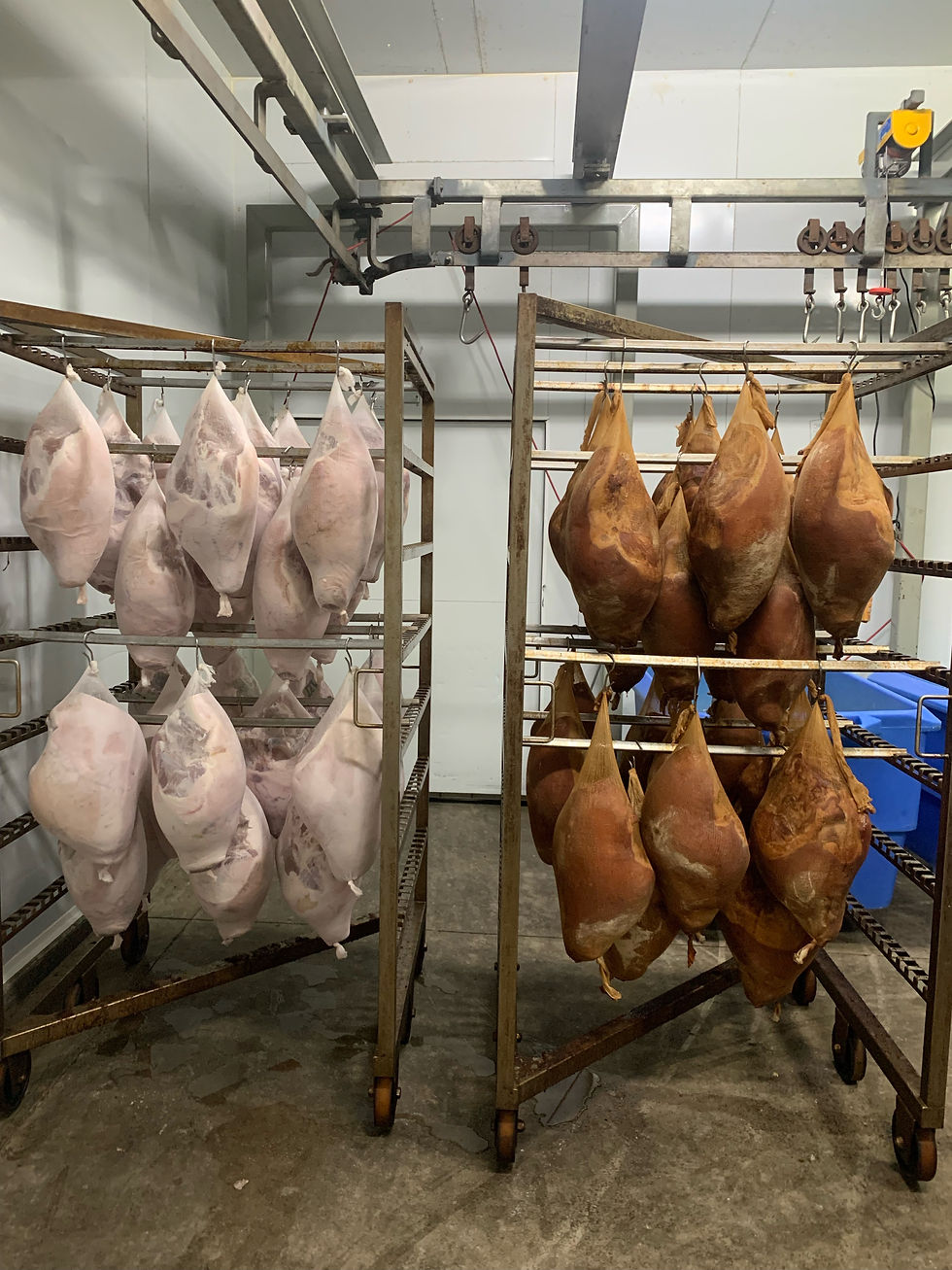 Bone in hams hanging, left side is not smoked, right side is smoked