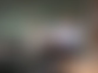 Evento Diálogos Hidroviáveis em Florianópolis 