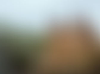 Miradas a lo medieval