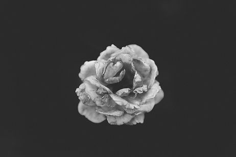 Monochromatic Flower