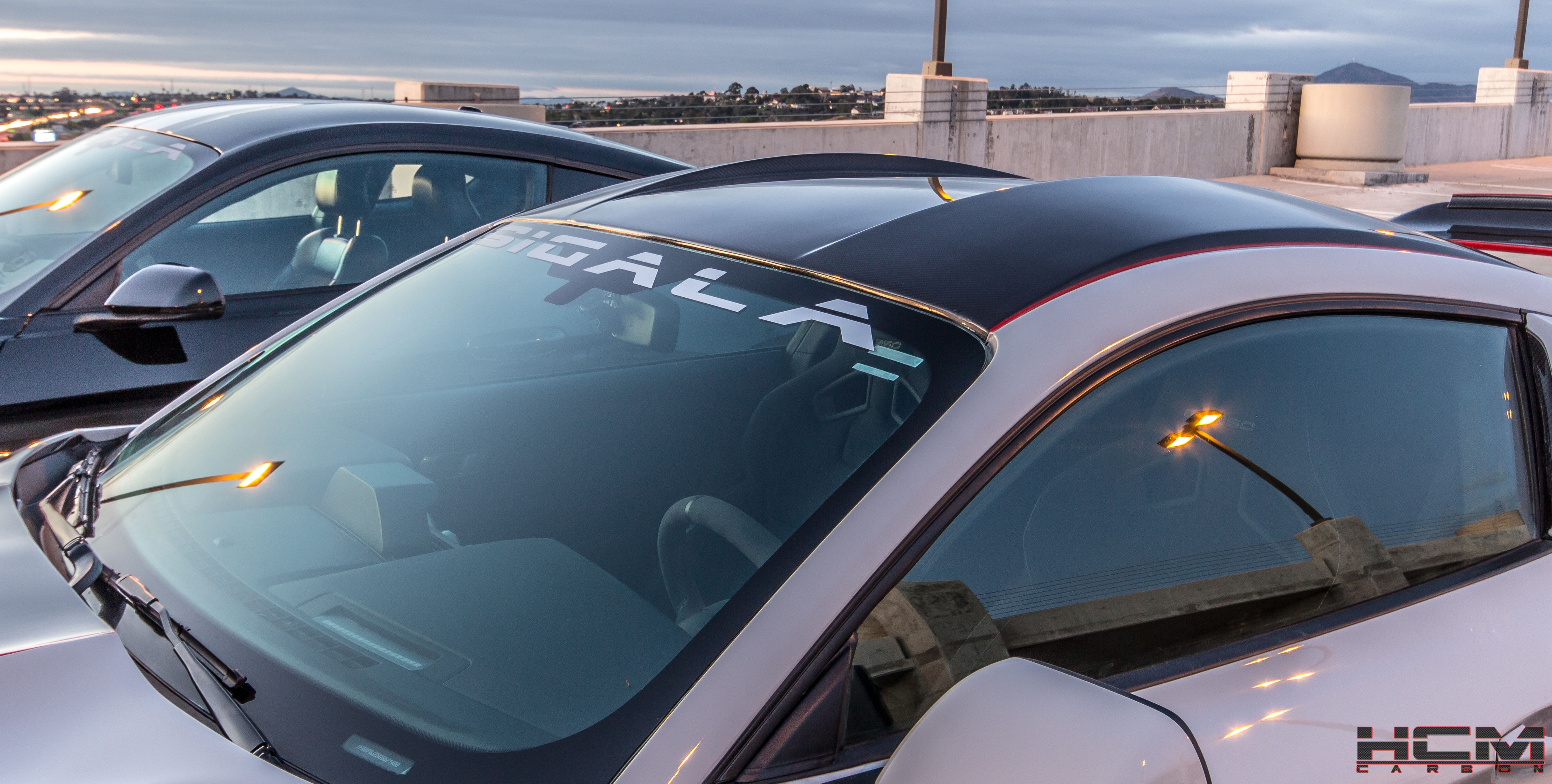 2015 - 2019 Mustang GT350RR Carbon Fiber Roof