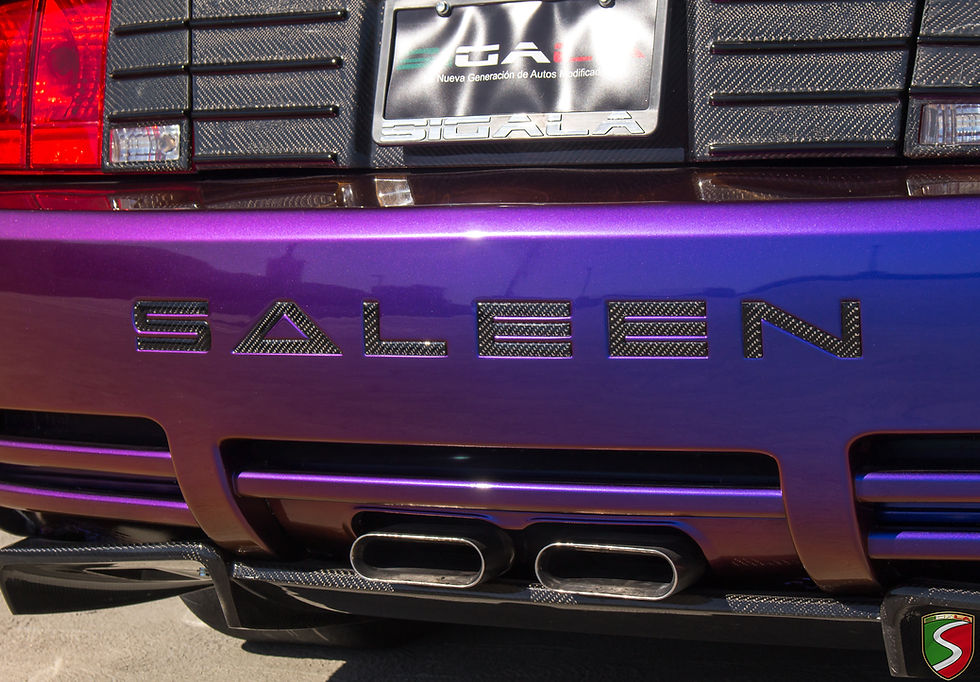 Thumbnail: 2005 - 2009 Mustang Carbon Fiber Saleen Rear Bumper Inserts