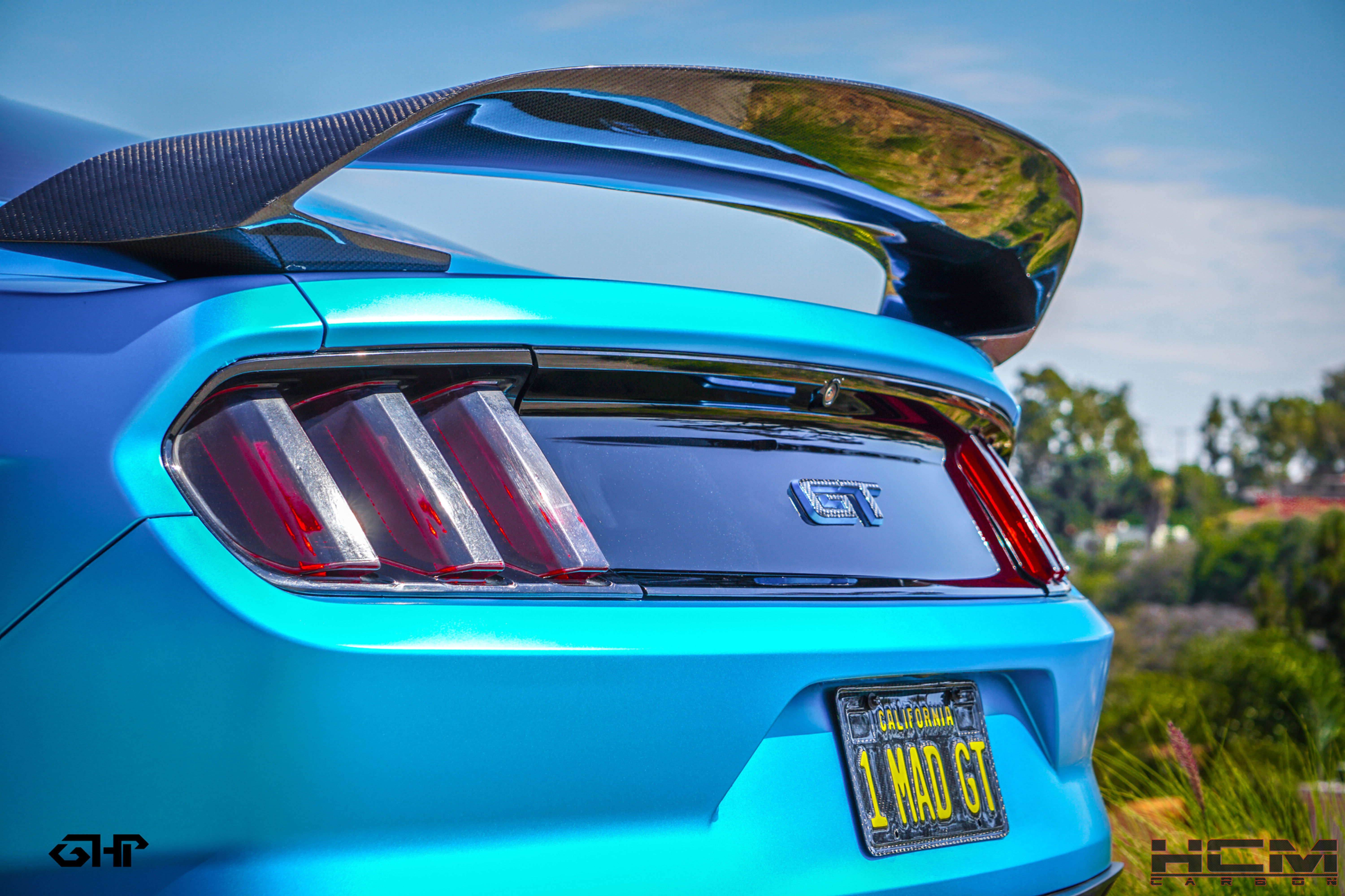 2015 - 2019 Mustang Carbon Fiber OEM Style GT350R Rear Spoiler