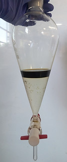 PXL_20240808_144730456.jpg