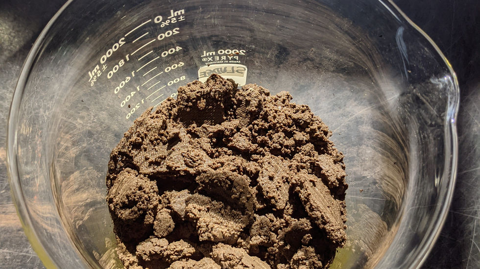 Municipal Sewage Sludge Treatment