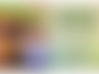 Lançamento da Campanha Preservar é Resistir em Ubatuba