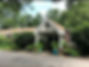 EDB8BACB-5834-4A61-AAA5-E3F388D3BD28_1_201_a.jpeg