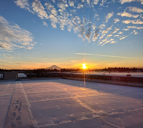 Roof Top_2.jpg
