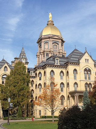 RR-CaseStudy-Masonry-Cosmetics-Golden_Do