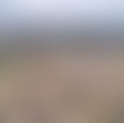 Opinion | Councilwoman Amy Drake Called South Bend a “Shithole.” Here’s Why It Matters