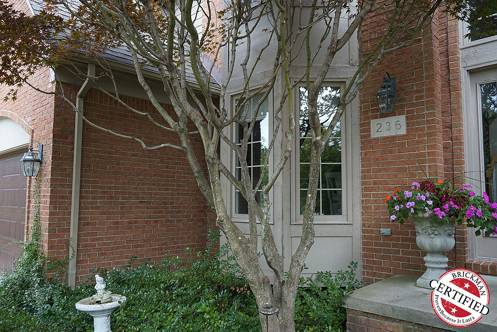 CS219 - Michigan - 1999