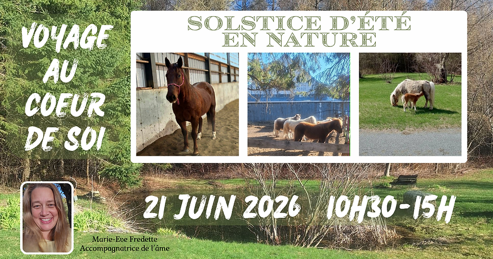 Voyage au Coeur de Soi SOLSTICE D'ÉTÉ EN NATURE avec les chevaux et poneys qui nous accompagnent