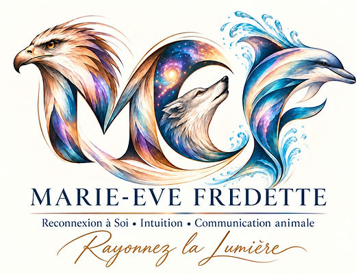 Mon logo wow MEF.png