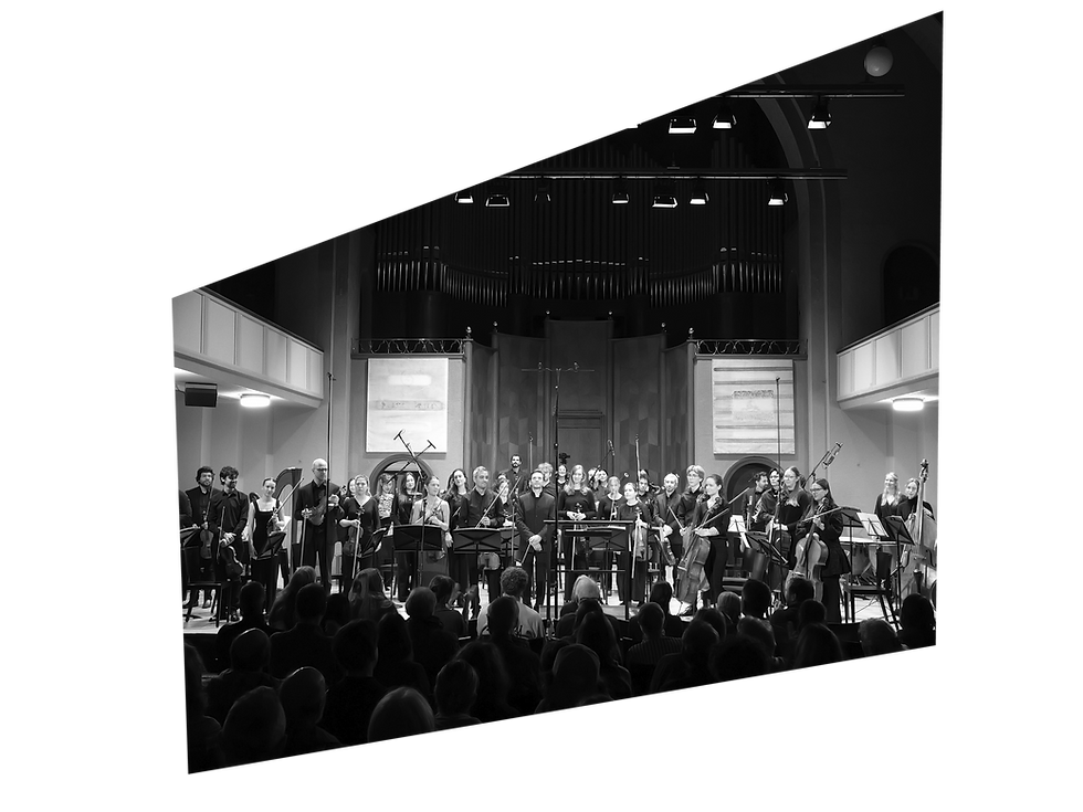 Orchester l’accompagnamento © Wiebke Holberg