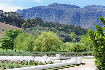The mountains from Peter Falke winery