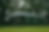 Cricket Pitch