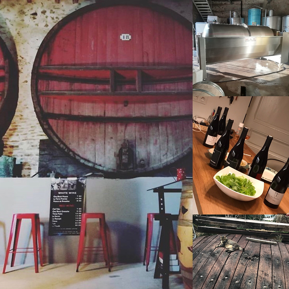 Wine tasting and bying at Domaine Treloar
