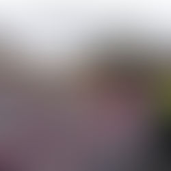 St Mary’s Micheldever – Roof Repairs