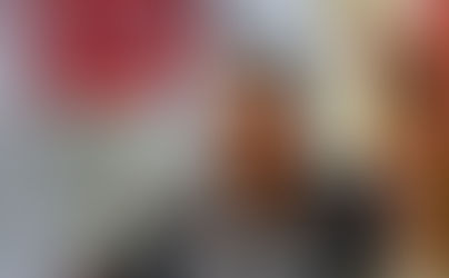 TODDOPULI & KUCING BELANG