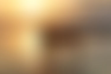 TELUK BIMA, REKLAMASI DAN PENGHANCURAN PERADABAN