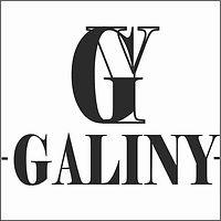 Logo 1