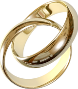 pngegg (2) 1 (1).png