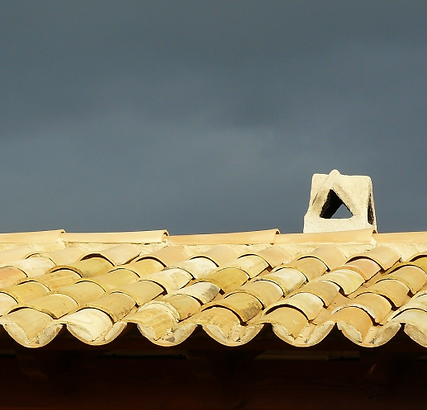 image 7 (1).png