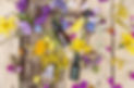 Overhead view of three essential oil bot