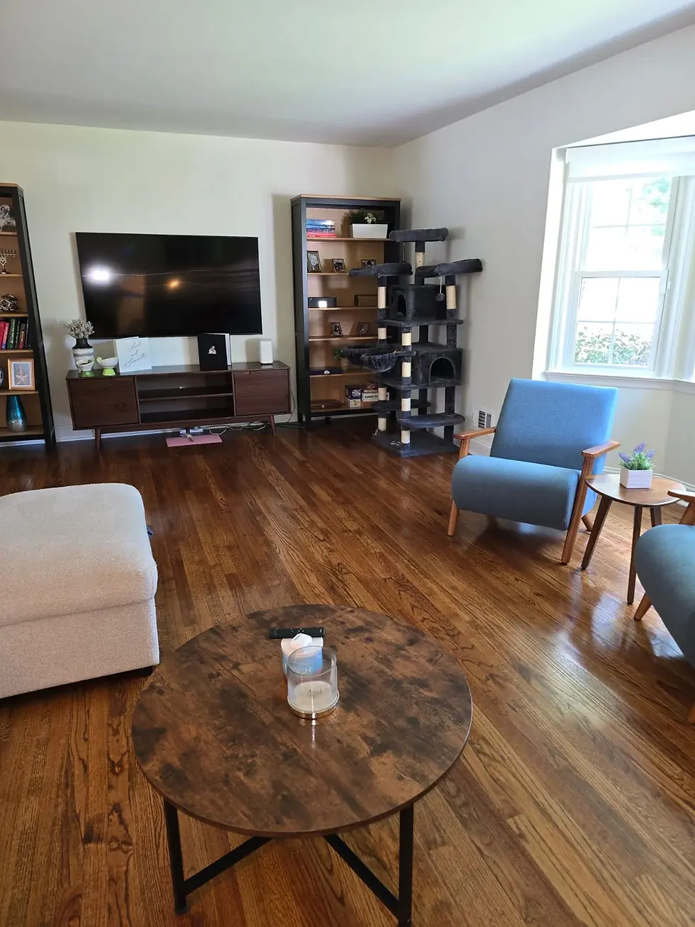 Deep Cleaning for Pet Owners in New Jersey: How Often Is Enough?