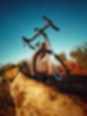 IMG_20201218_160242_1-01.jpeg