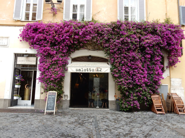 Roma, Italy