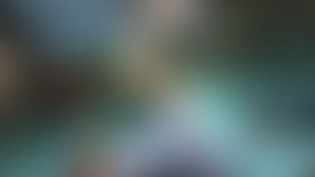 SEASON 4 COLLECTION 2018