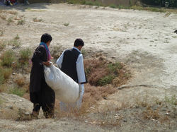 E-_Übertragung_von_Zeltl