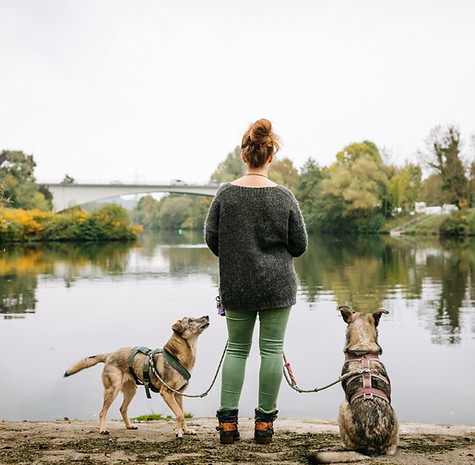 47 - UnterWoelfen©danaschmidt-36.jpg