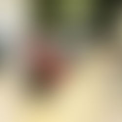 Reformer Pilates vs Mat Pilates: What’s the Difference (and Which One Is Right for You)?