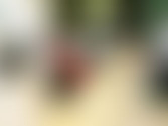 Reformer Pilates vs Mat Pilates: What’s the Difference (and Which One Is Right for You)?