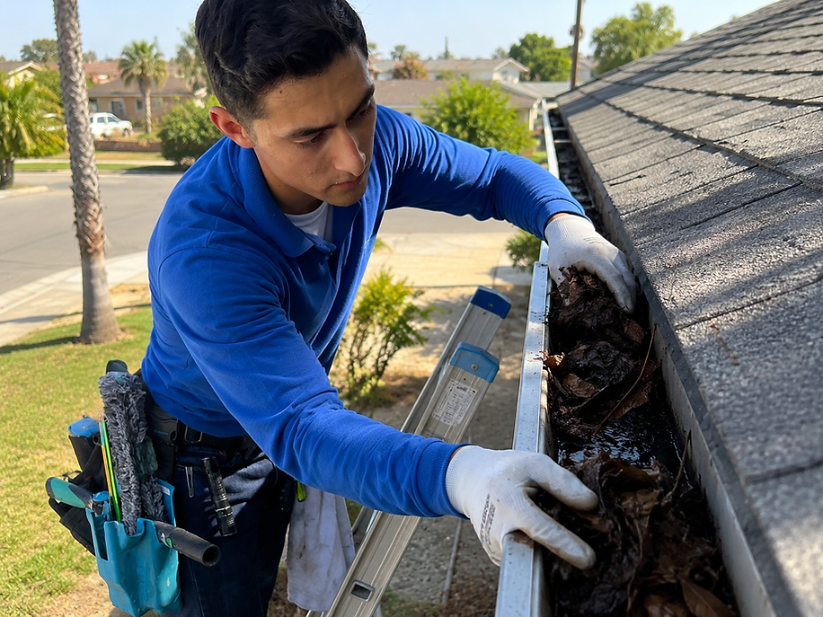 gutter cleaning in los angeles.png.png