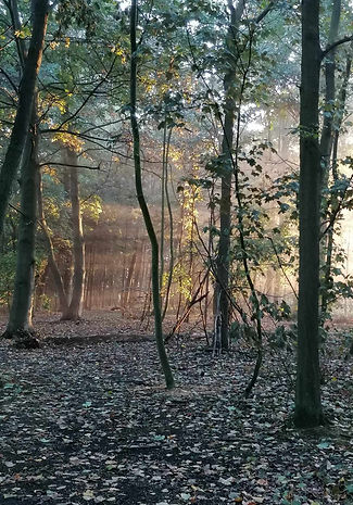 relaxatie @Het Geheel Wachtebeke