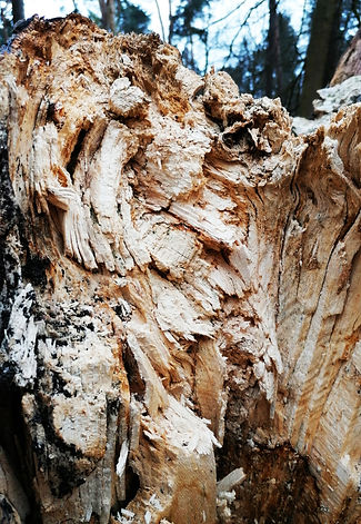 website systemisch_werk.jpg