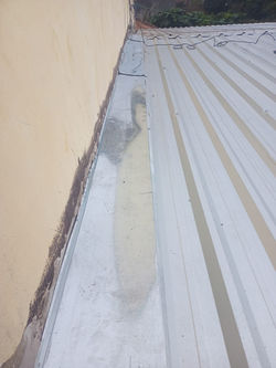 WhatsApp Image 2025-07-24 at 14.50.26