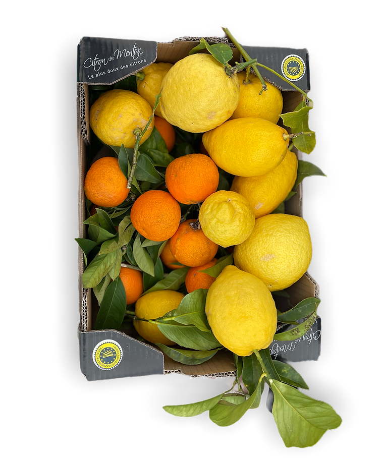 CITRONS%20CAGETTE_edited.png
